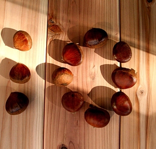 ファイル 223-1.jpg